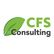 CFS Consulting Logo Maureen Quinn